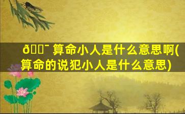 🐯 算命小人是什么意思啊(算命的说犯小人是什么意思)